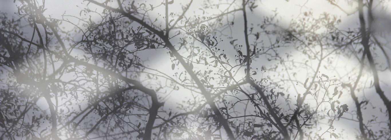 1406879577_0_1403684708_0_autumn_chess1-a98ef220b70ad5bfb9ba21eafbec50bf.jpg